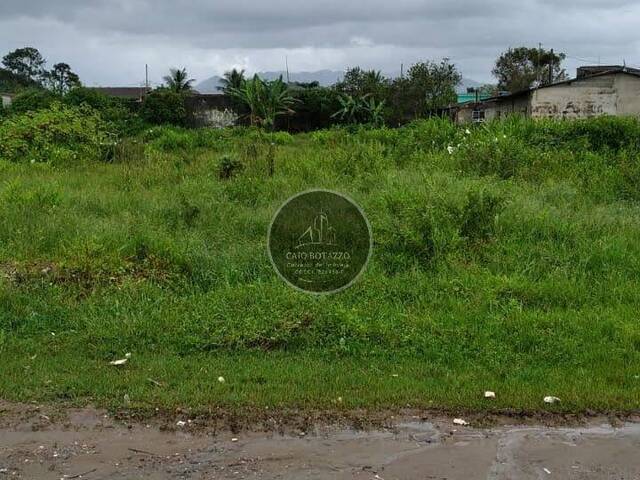 #12 - Terreno para Venda em Mongaguá - SP - 2