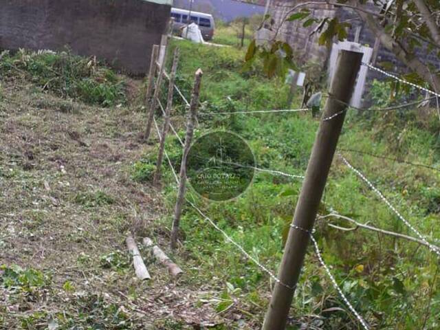 #151 - Terreno para Venda em Mongaguá - SP - 3