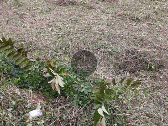 #151 - Terreno para Venda em Mongaguá - SP - 1